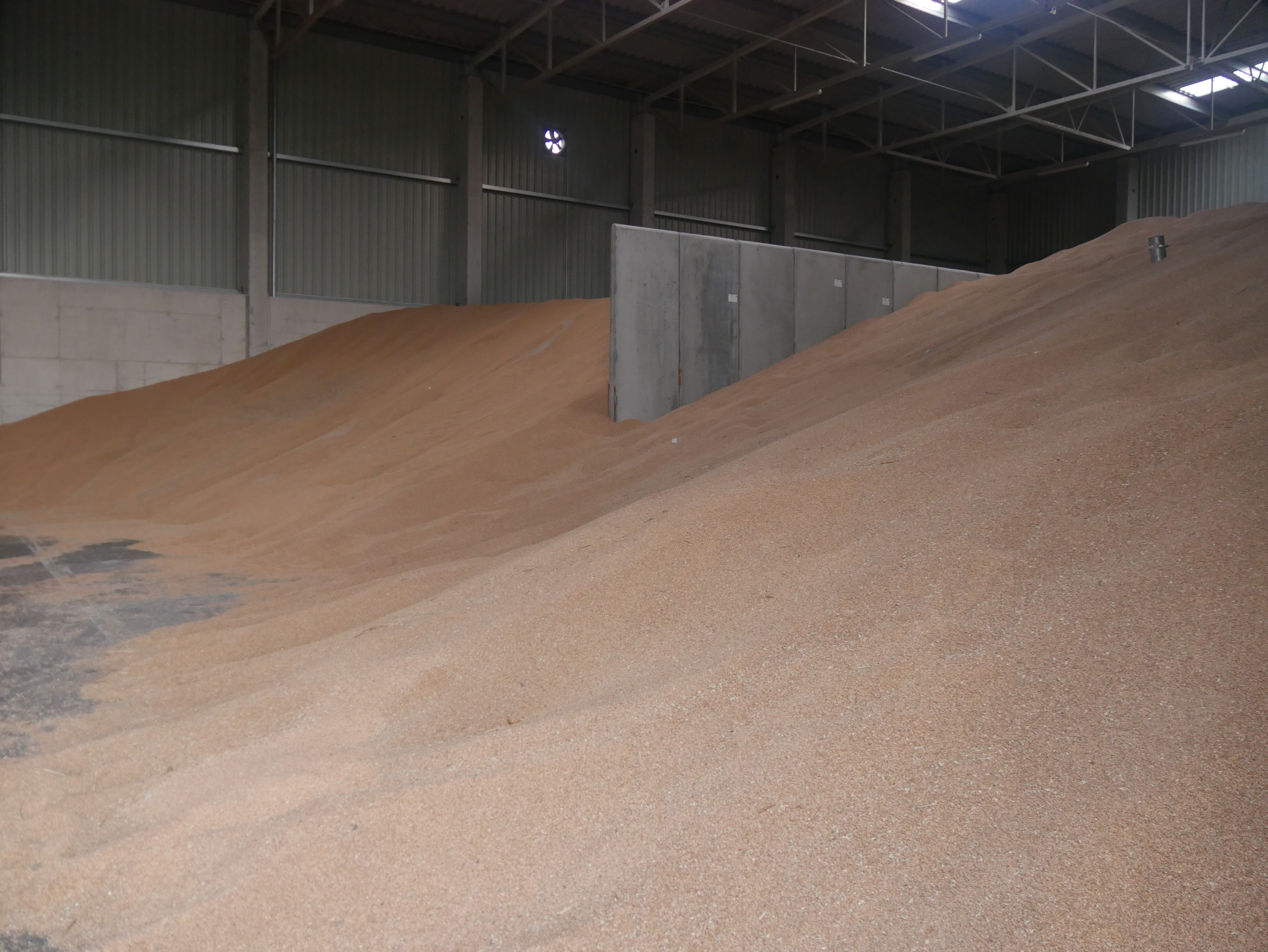 Czy pozostało zboże w magazynach?