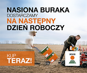 Strona główna 2 spot_img