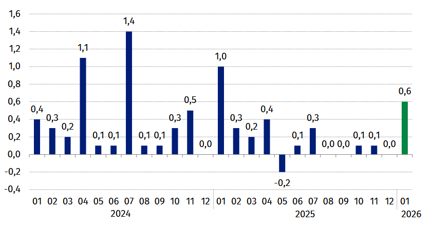 Inflacja w styczniu powyżej prognoz. Żywność drożeje, transport mocno w dół 2