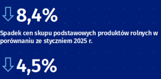 ceny produktów rolnych w styczniu 2026