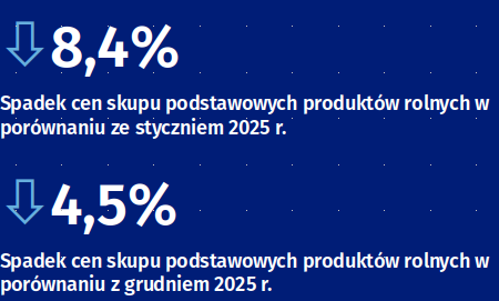 Ceny produktów rolnych w styczniu 2026 r.: Pogłębienie spadków i rynkowe anomalie