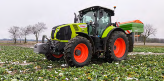 Nawożenie azotem ozimin – jak zaplanować dawki i zwiększyć plon?