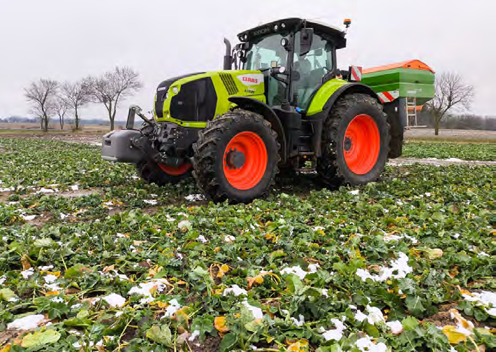 Nawożenie azotem ozimin – jak zaplanować dawki i zwiększyć plon?