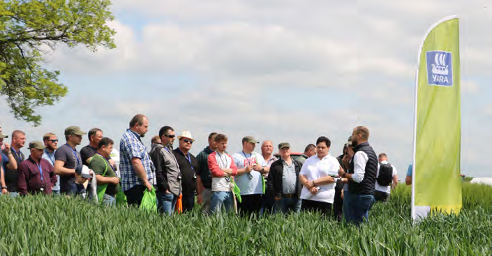 Nawożenie azotem ozimin – jak zaplanować dawki i zwiększyć plon? 1 Nawożenie azotem – jak zaplanować dawki i zwiększyć plon?