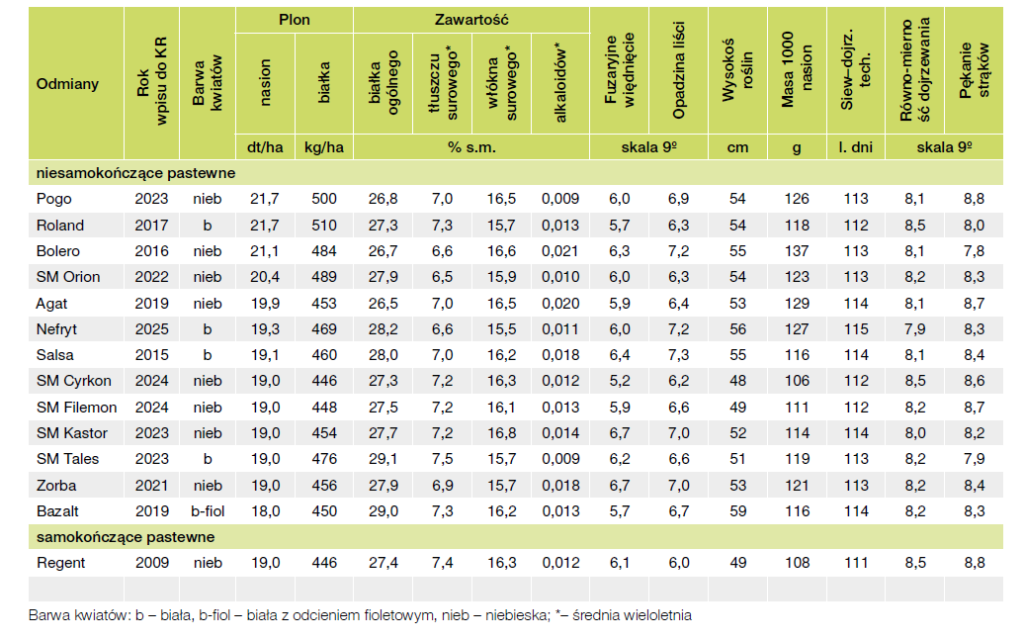 Groch, bobik i łubin – jak zwiększyć plonowanie bobowatych? 4