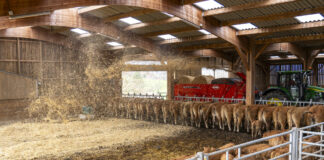 Ścielenie bez wysiłku – jaka ścielarka do słomy sprawdzi się w gospodarstwie?