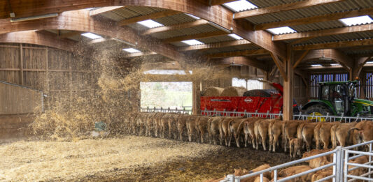 Ścielenie bez wysiłku – jaka ścielarka do słomy sprawdzi się w gospodarstwie?