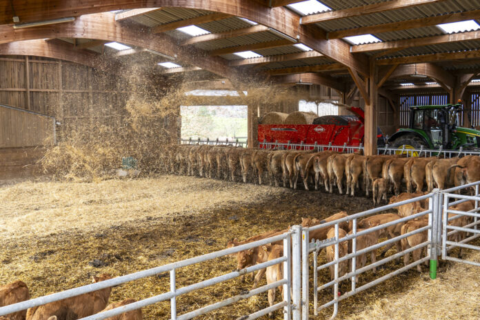 Ścielenie bez wysiłku – jaka ścielarka do słomy sprawdzi się w gospodarstwie?