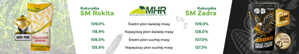 Odmiany kukurydzy na kiszonkę – w KR 317 kreacji. Sprawdź jaką wybrać! 1