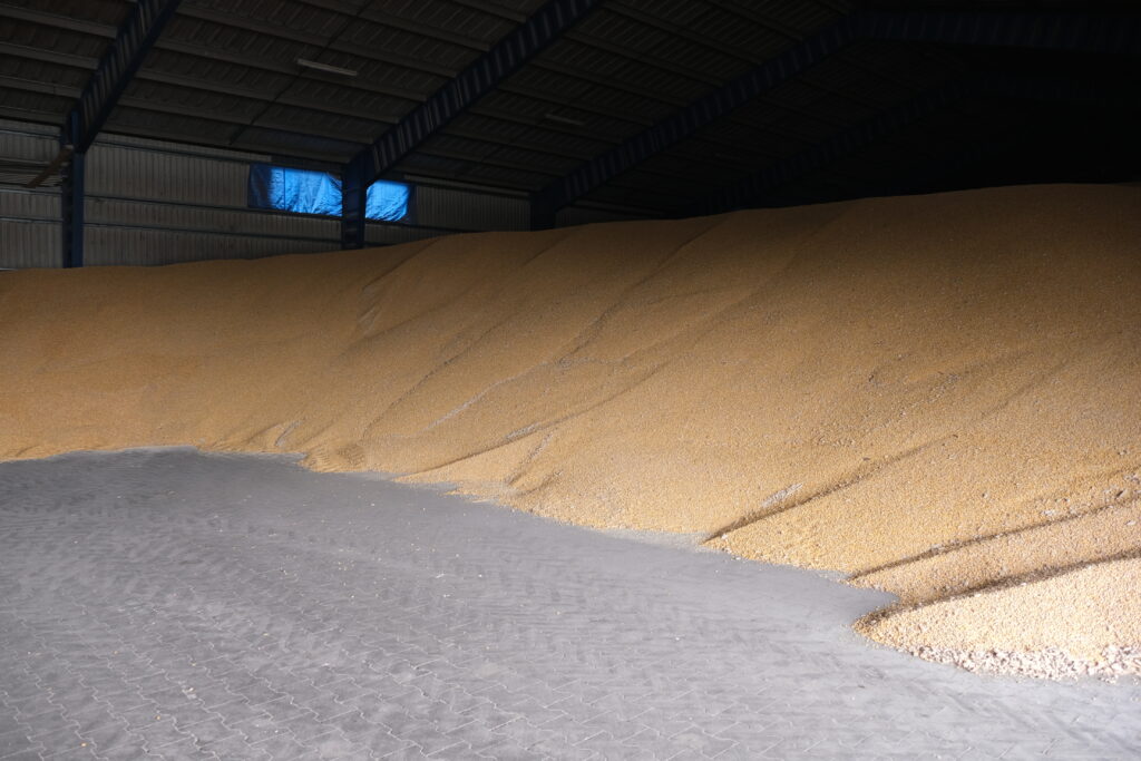 Ile zboża jest jeszcze w magazynach? 1