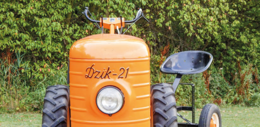 Dzik-21