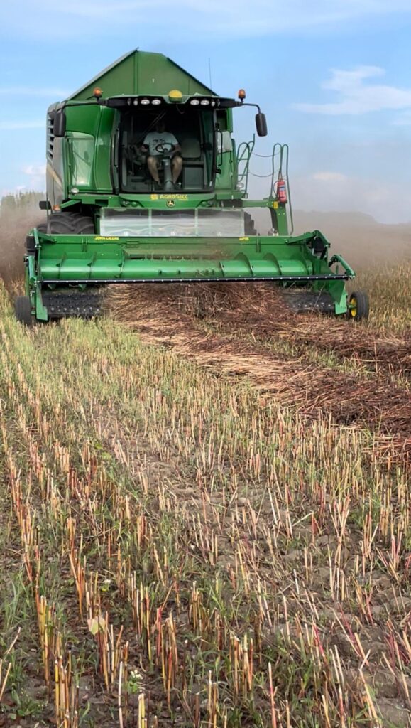 Czy rolnictwo ekologiczne sprawdza się na lekkich glebach? 9 Czy rolnictwo ekologiczne sprawdza się na lekkich glebach?