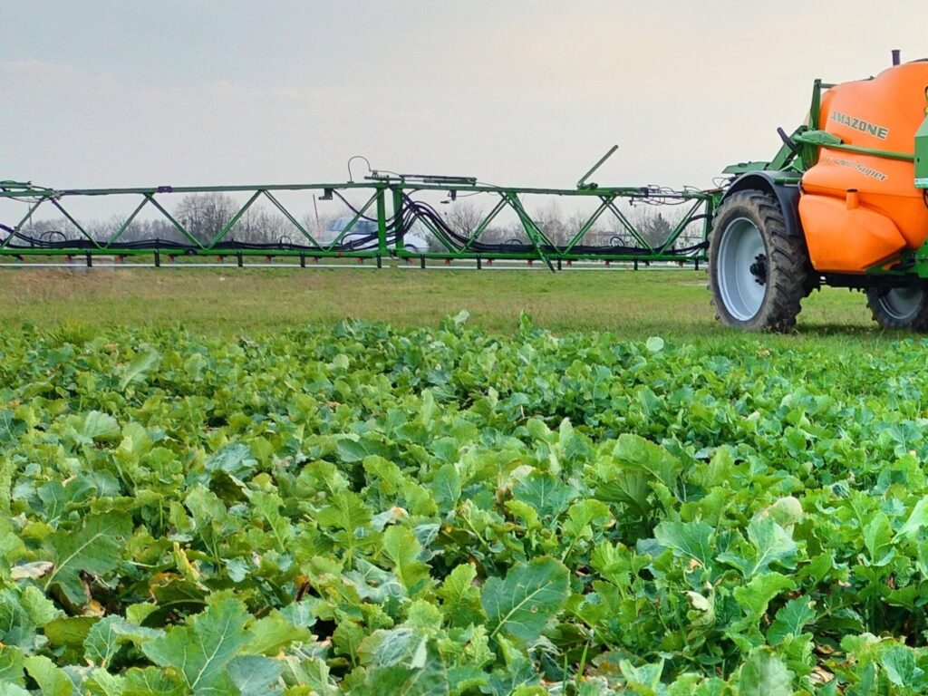 Regulacja pokroju i ochrona fungicydowa