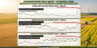 Ceny pszenicy, kukurydzy i rzepaku