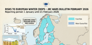 Uprawy ozime w Europie