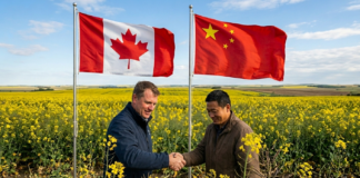 Kanada-Chiny - porozumienie handlowe