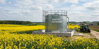 Bioetanol a cena zbóź