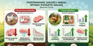 Zdrowa żywność - drób