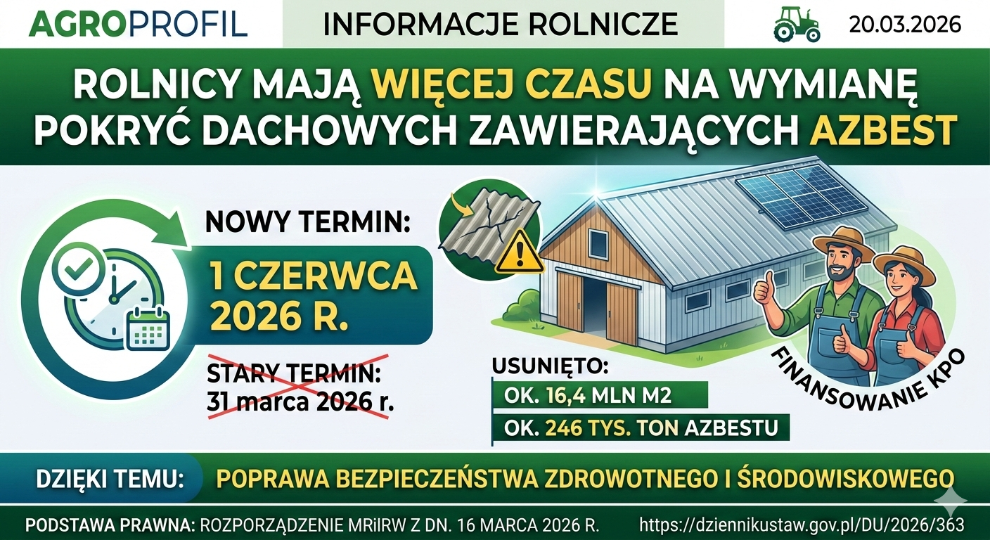Ważne: Więcej czasu w wymianę dachów z azbestu! Nowy termin składania wniosków