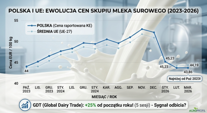 Ceny skupu mleka w marcu 2026njxmgdnjxmgdnjxm
