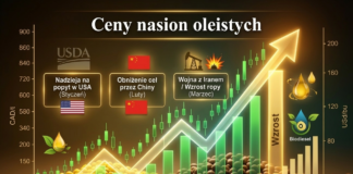 Ceny rzepaku / oleistych