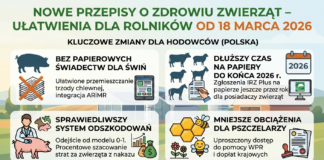 Zdrowie zwierząt