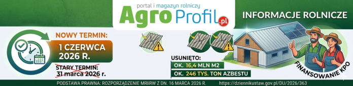 Azbest - wymiana dachów