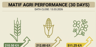 Matif - zamknięcie z 13.03.2026