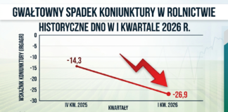 Koniunktura w rolnictwie 2026