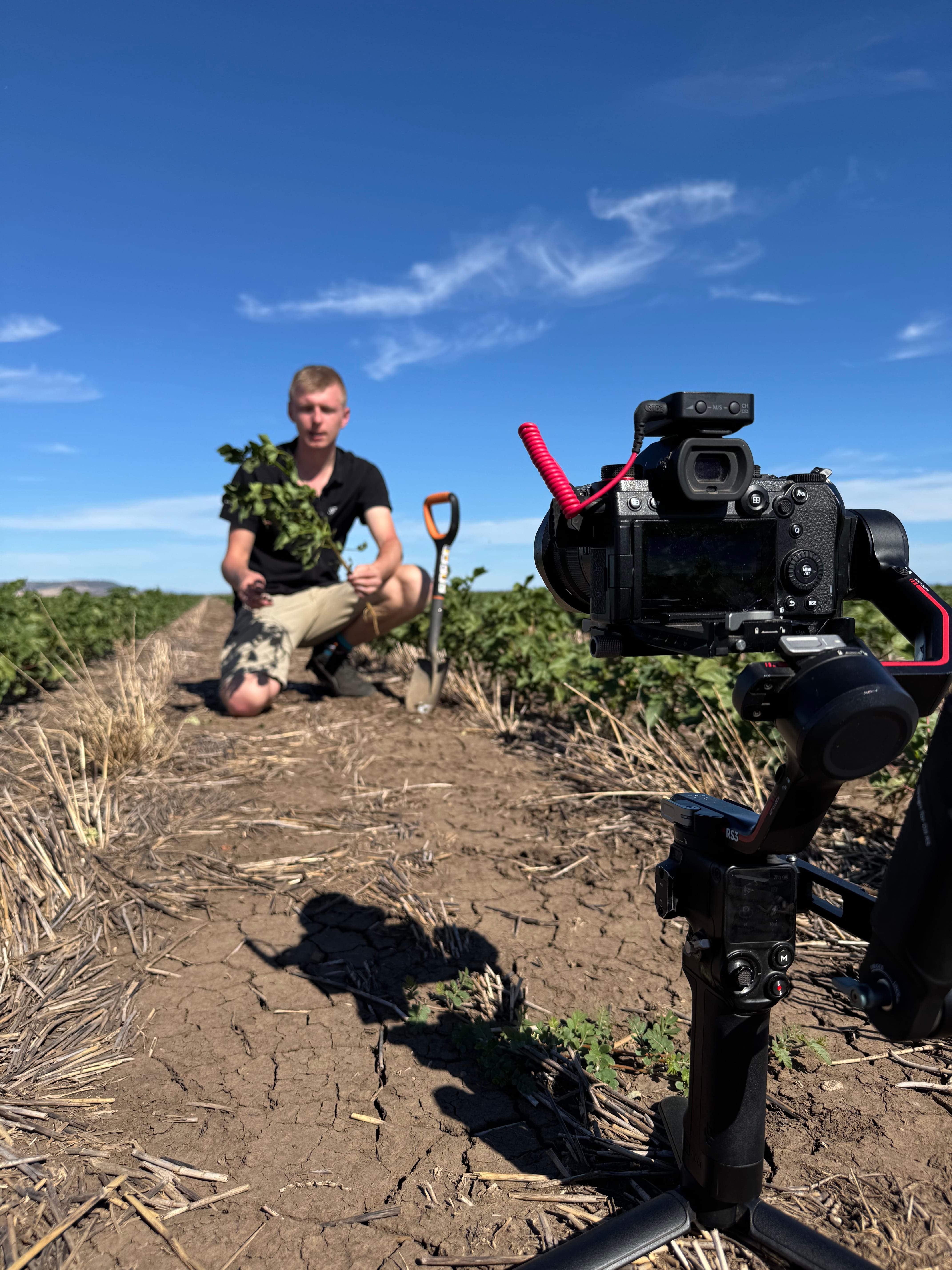 Jak Australia buduje potęgę rolną? – rolnictwo w temperaturach rzędu 50°C [ROLNICTWO ŚWIATA]