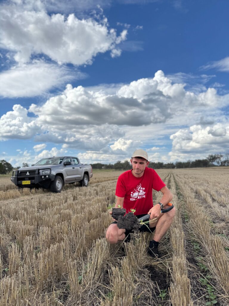 Jak Australia buduje potęgę rolną? – rolnictwo w temperaturach rzędu 50°C [ROLNICTWO ŚWIATA]