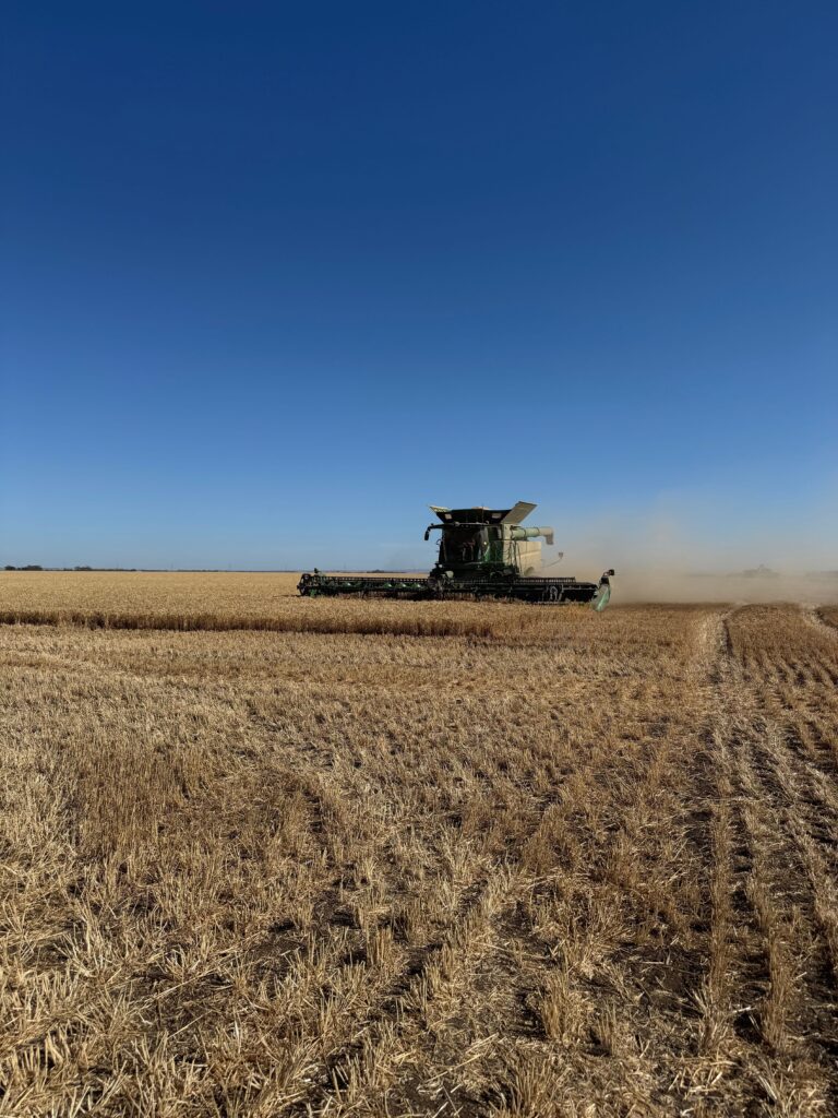 Jak Australia buduje potęgę rolną? – rolnictwo w temperaturach rzędu 50°C [ROLNICTWO ŚWIATA]