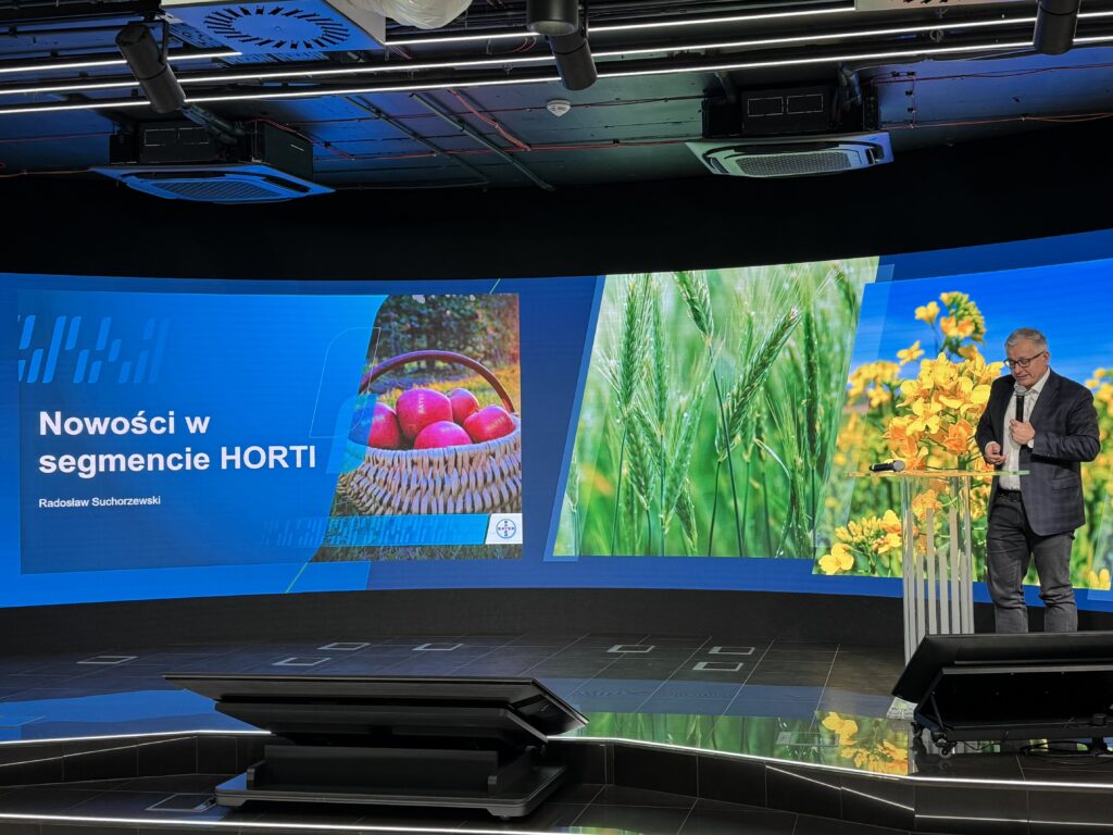 bayer radosław suchorzewski