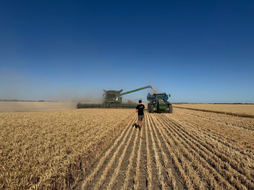 Jak Australia buduje potęgę rolną? – rolnictwo w temperaturach rzędu 50°C [ROLNICTWO ŚWIATA]