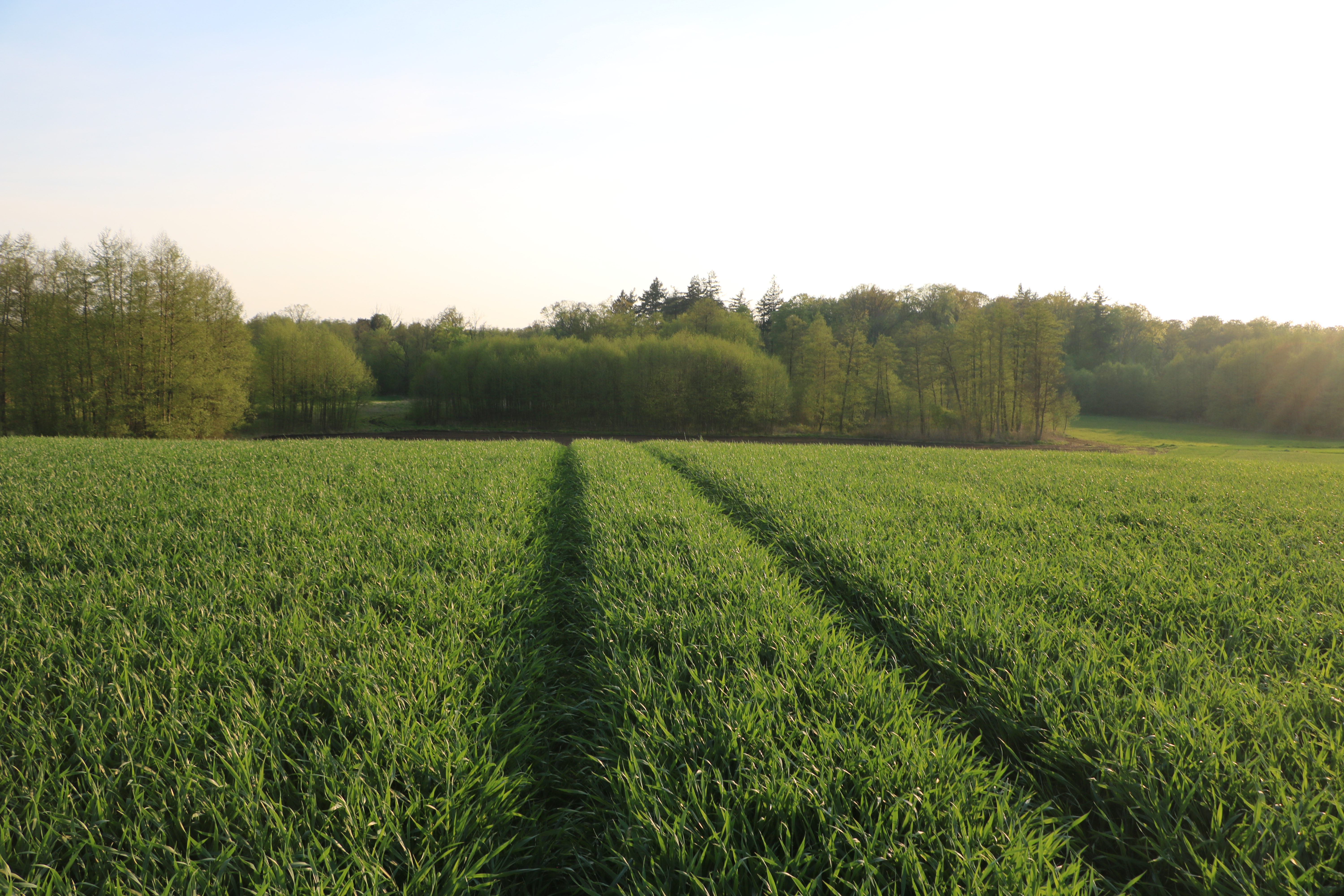 Trzy nowe rozwiązania od Agrosimex na nadchodzący sezon