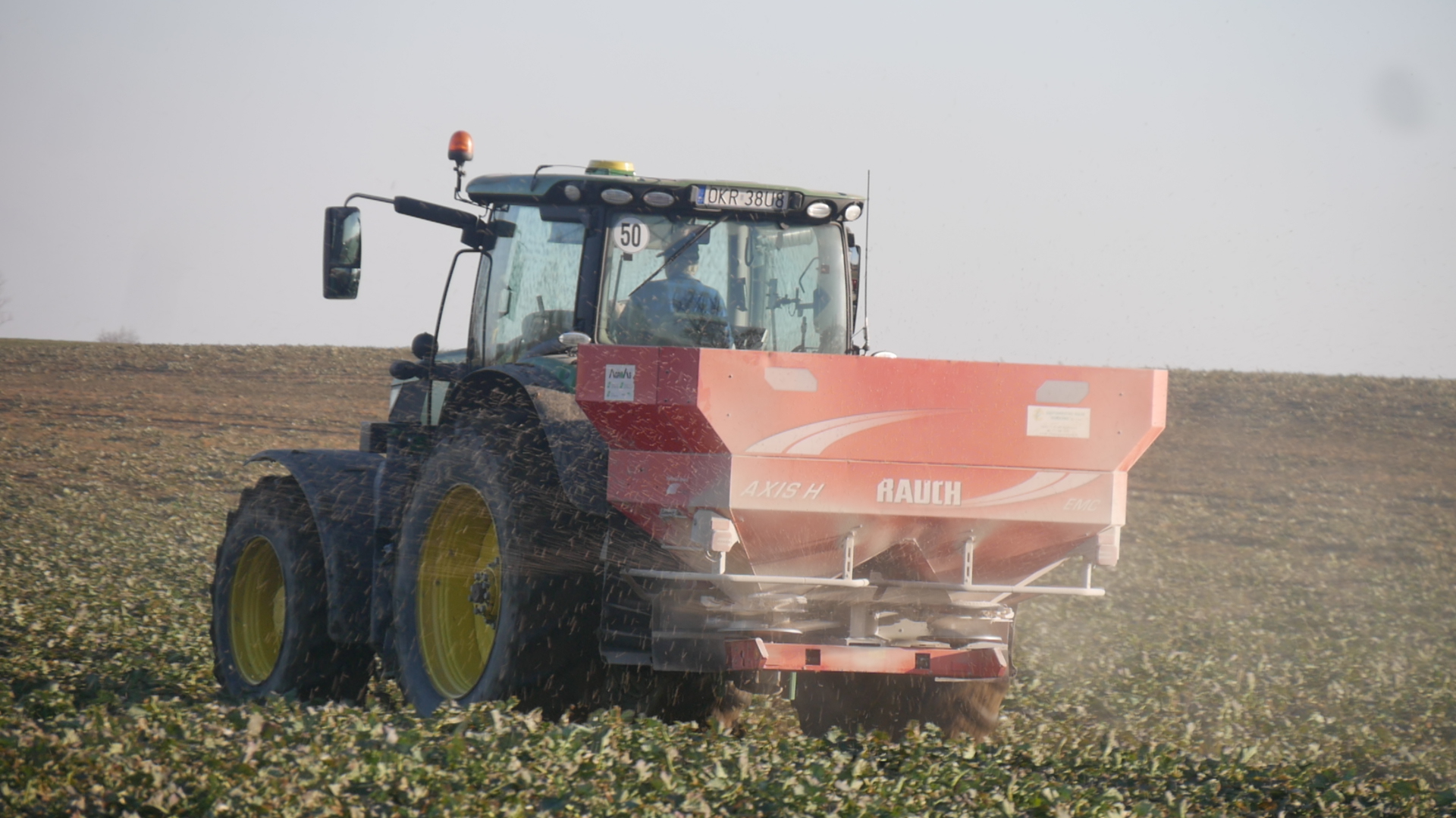 Kondycja i nawożenie rzepaku po zimie