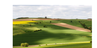 Niższe plony wyzwaniem dla unijnego rolnictwa. Cena zbóż wzrośnie zatem w nowym sezonie?