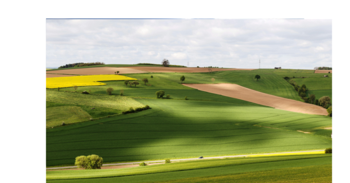Niższe plony wyzwaniem dla unijnego rolnictwa. Cena zbóż wzrośnie zatem w nowym sezonie?