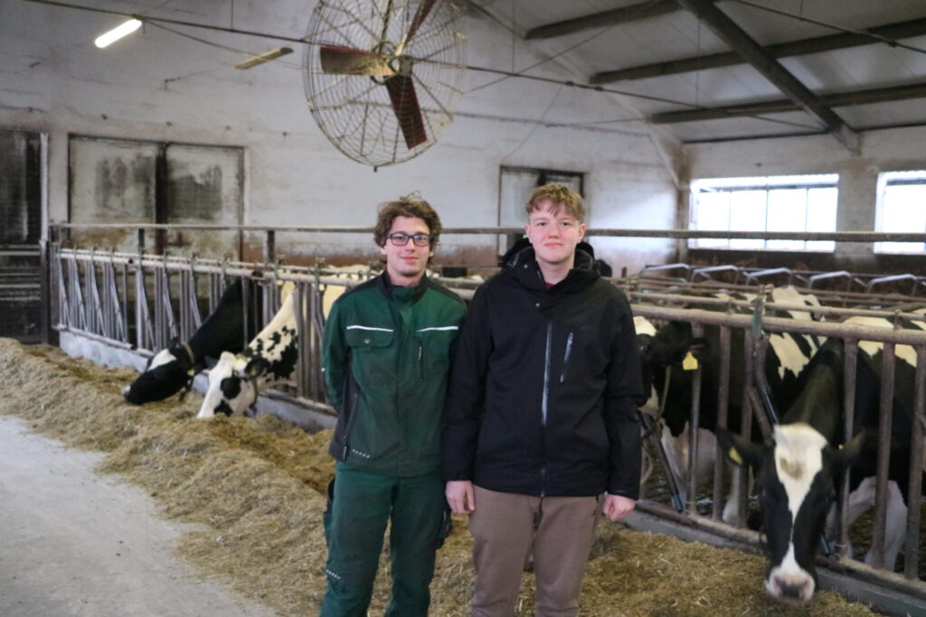 Odmiany kukurydzy na kiszonkę – w KR 317 kreacji. Sprawdź jaką wybrać! 3 SM Zadra