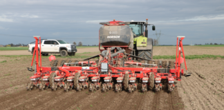 Czy burak cukrowy potrzebuje orki?