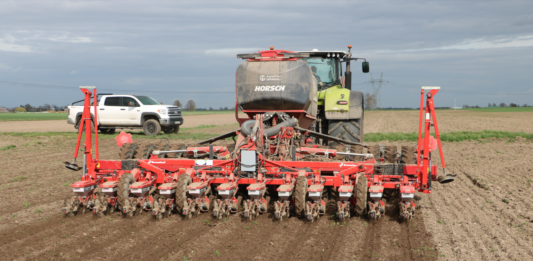Czy burak cukrowy potrzebuje orki?