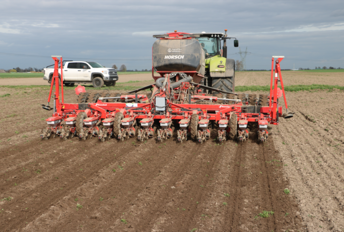 Czy burak cukrowy potrzebuje orki?