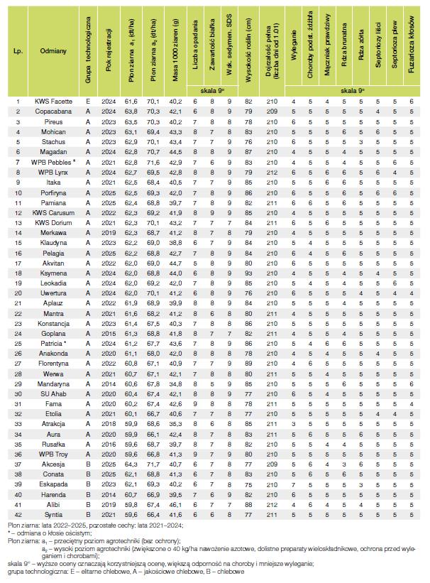 Pszenica jara pod lupą – odmiany, plonowanie i znaczenie w uprawie