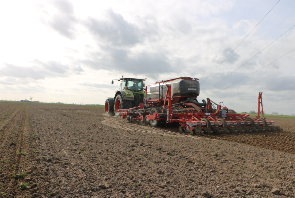 Czy burak cukrowy potrzebuje orki?