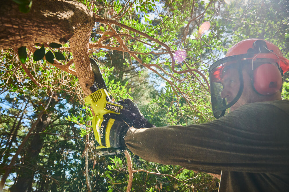 Wiosenne cięcie drzew owocowych – jakie piły i sekatory akumulatorowe maksymalnie przyspieszą pracę?