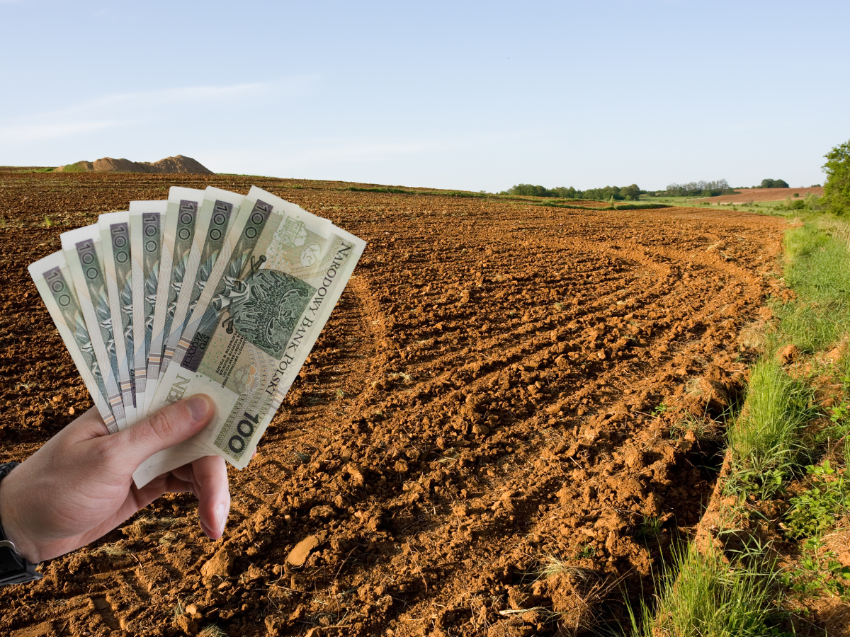 Ceny ziemi rolnej 2026. Ile kosztuje hektar gruntu według danych GUS?