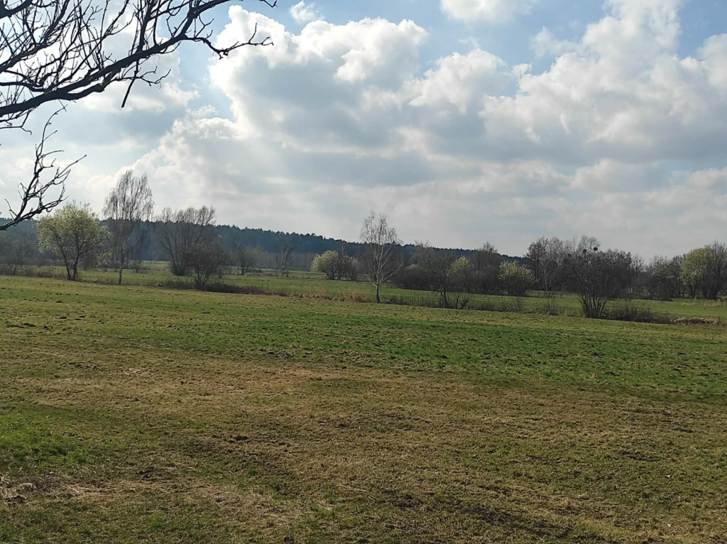 Pogoda 21 marca- suchowiej na zachodzie i południu Polski