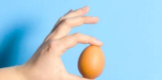 Jajo – fenomen natury i kultury.