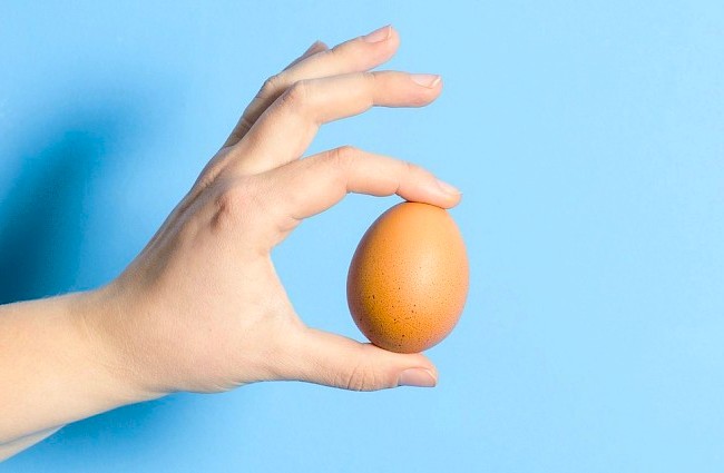 Jajo – fenomen natury i kultury. Wartość odżywcza i symbolika jednego z najważniejszych produktów żywnościowych