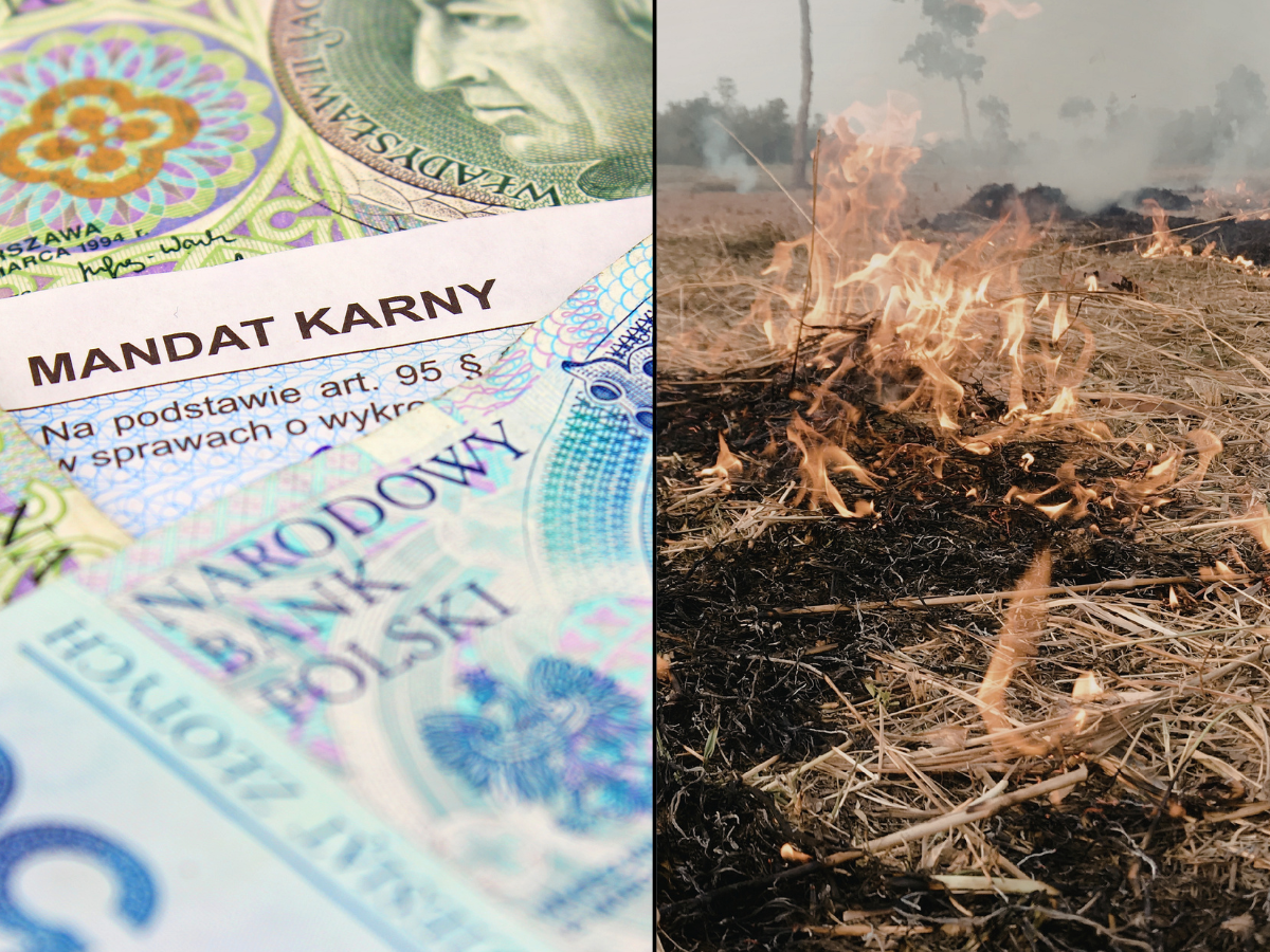 Wypalanie traw: Policja zapowiada surowe kary. choćby 30 tys. grzywny i strata dopłat!